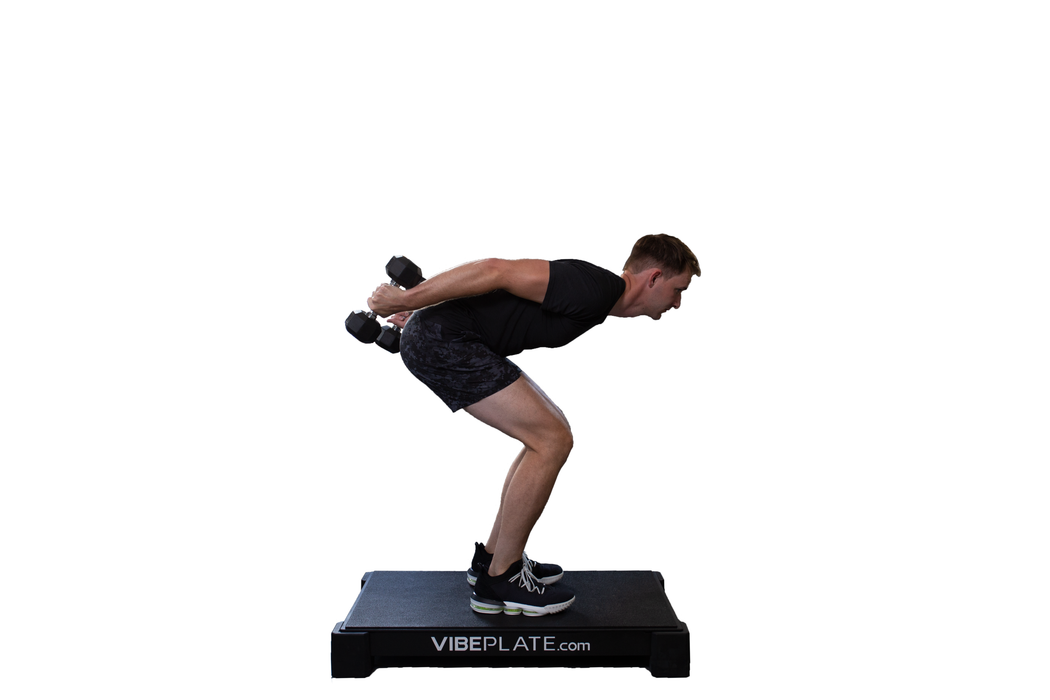 VibePlate 2440 Vibration Machine – Your Ultimate Fitness Partner